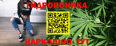Альфа ПВП Пенза