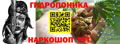 Альфа ПВП Пенза