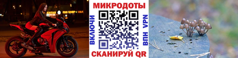 где можно купить Маркс Галлюциногенные грибы ЛСД